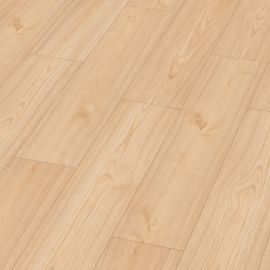 J08 Chestnut Rana
